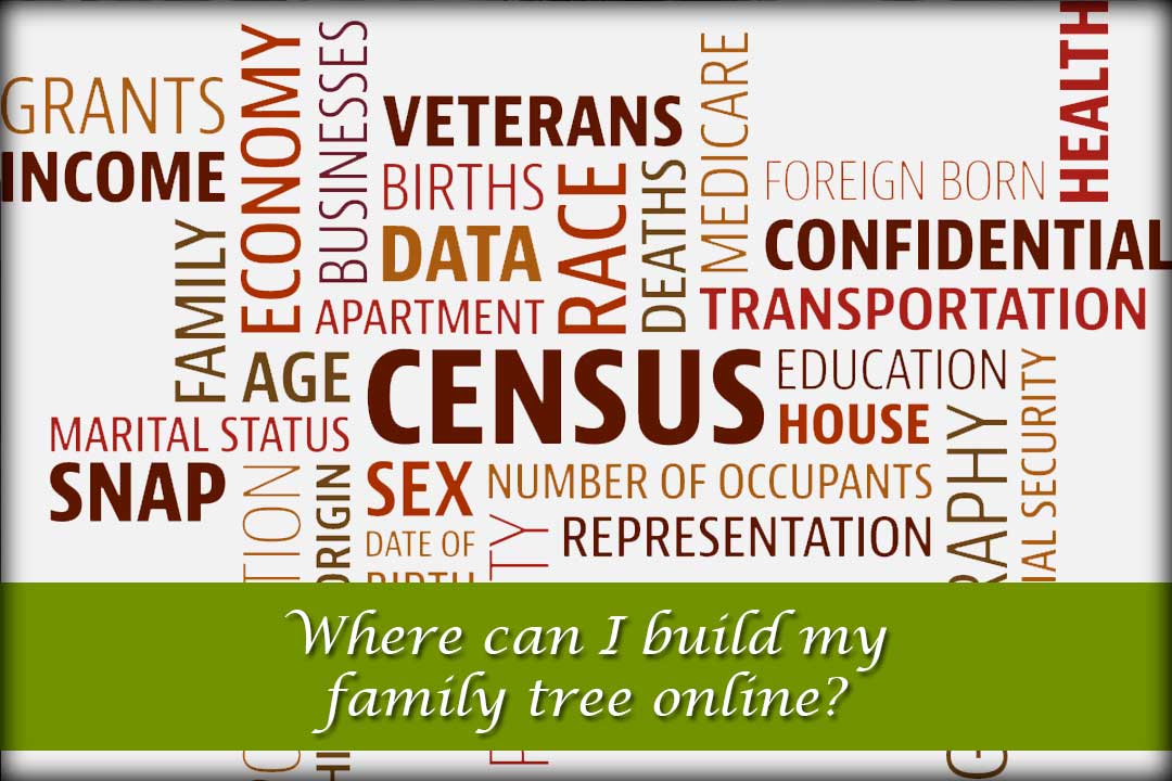 Where can I build my family tree online?