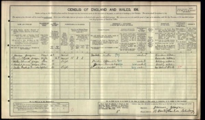 1911 Census-George Family