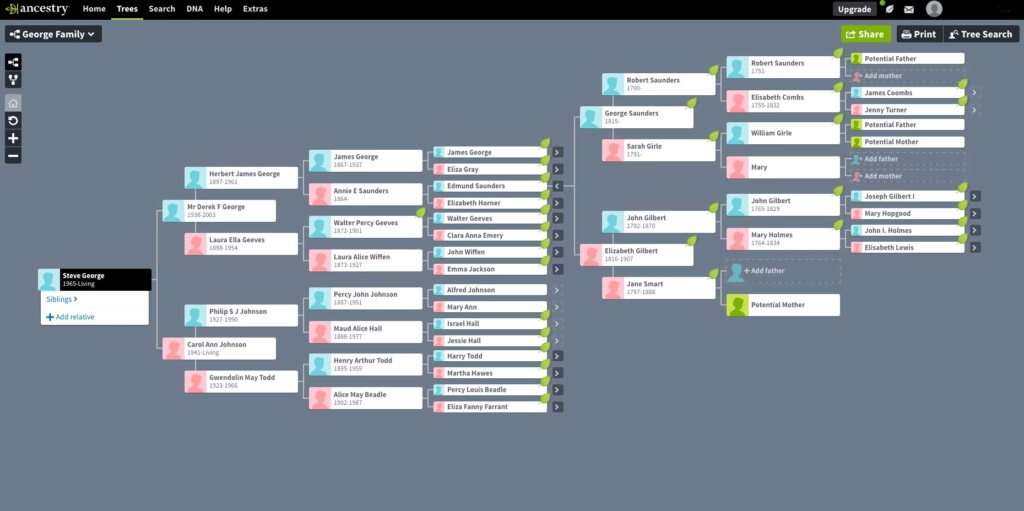 George Tree Layout in Ancestry.co.uk