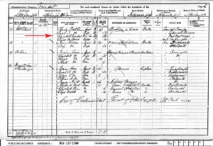 Alternative Elizabeth Saunders - 1901 Census