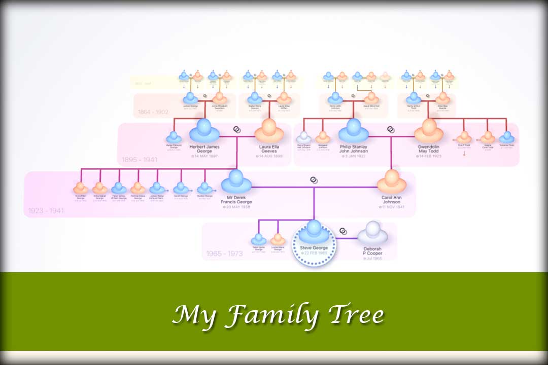 My Family Tree